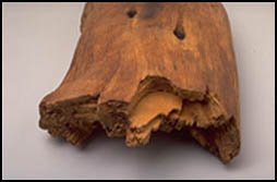 holzfunde6.jpg
