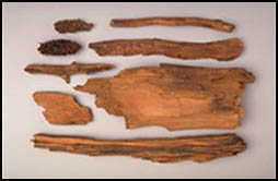 holzfunde5.jpg